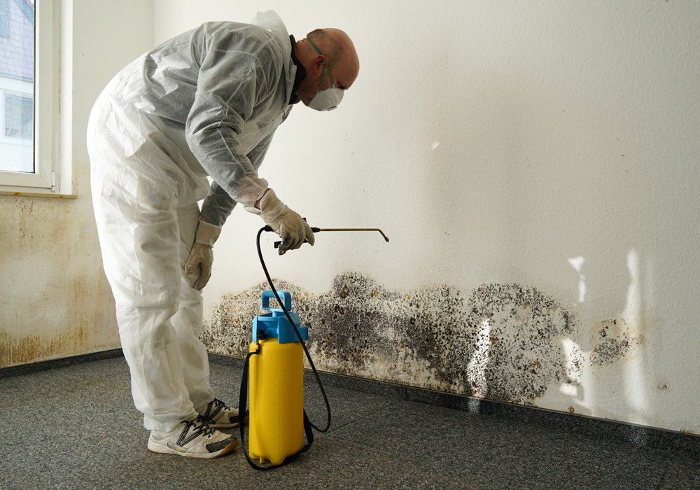 MOLD REMEDIATION